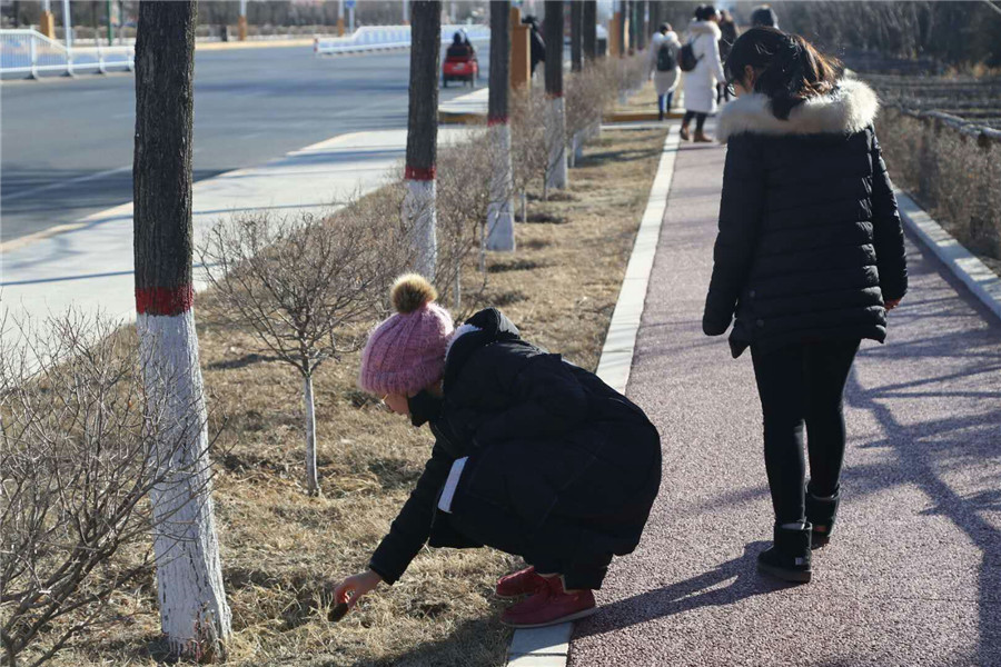 老虎机